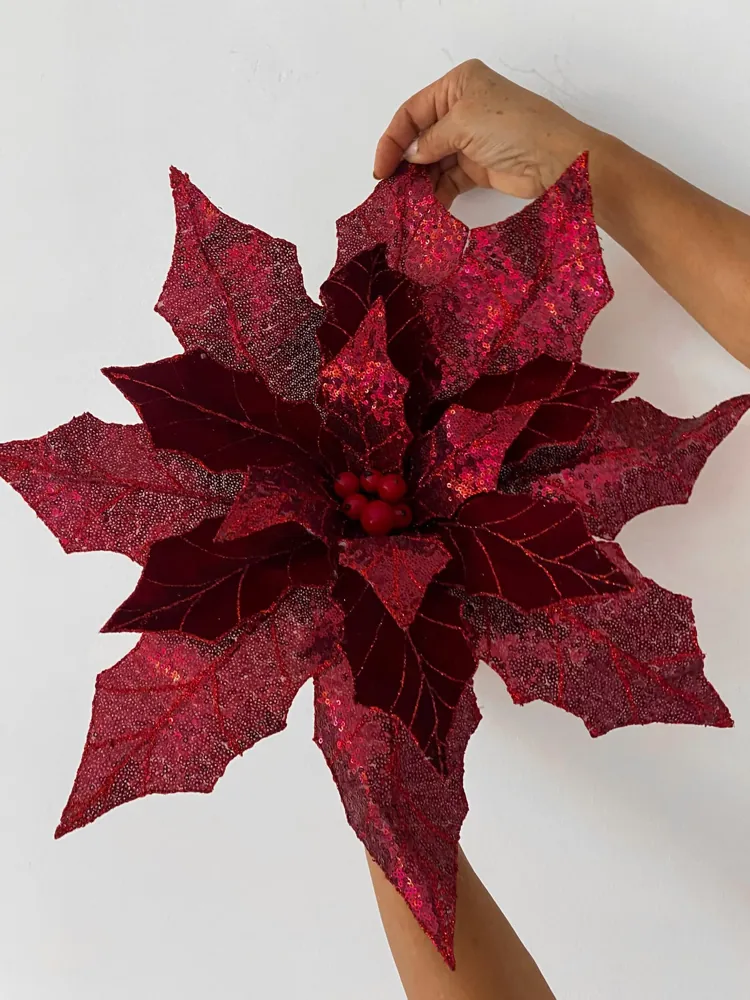 Flor roja navideña