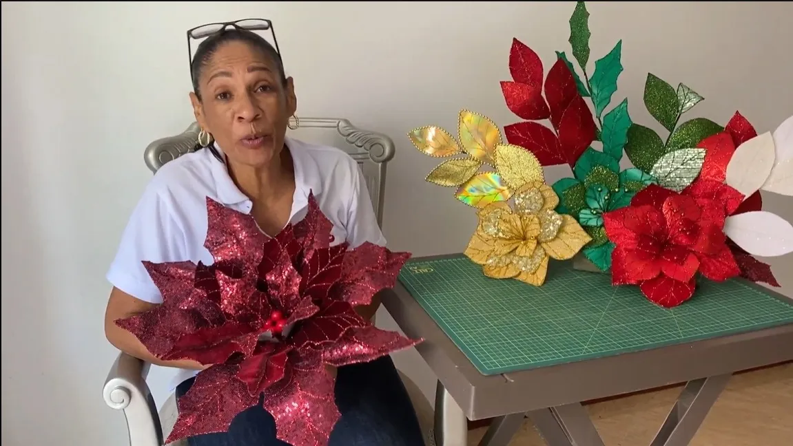 Video del curso