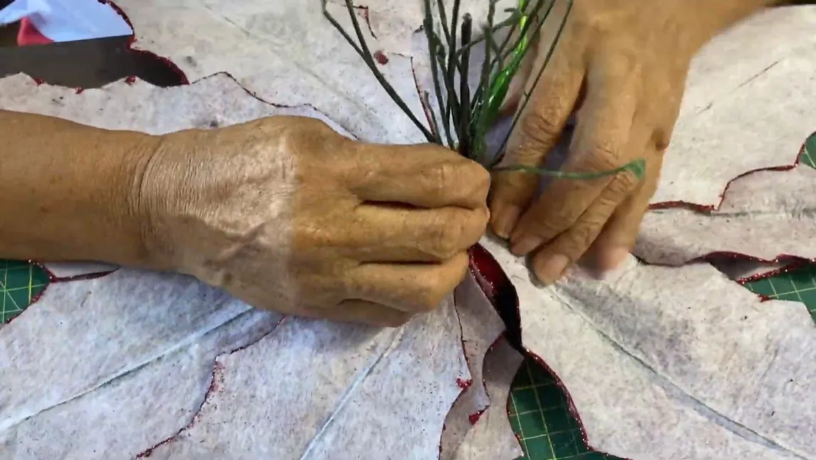 Video del curso